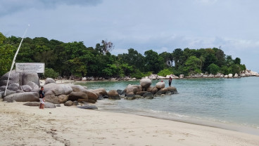 Kunjungan Wisman ke Kepri Meningkat Pesat, Mei 2025 Tercatat Naik 39,05%