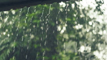 Musim Kemarau Basah Diprediksi hingga Oktober 2025, Waspada Bencana Hidrometeorologi!