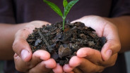 Mengenal Teknologi Biochar Bisa Atasi Perubahan Iklim hingga Potensi Devisa RI