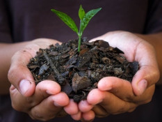 Mengenal Teknologi Biochar Bisa Atasi Perubahan Iklim hingga Potensi Devisa RI