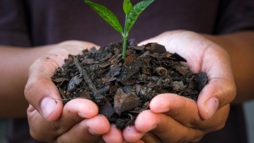 Mengenal Teknologi Biochar Bisa Atasi Perubahan Iklim hingga Potensi Devisa RI