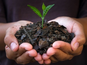 Mengenal Teknologi Biochar Bisa Atasi Perubahan Iklim hingga Potensi Devisa RI