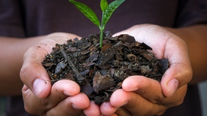 Mengenal Teknologi Biochar Bisa Atasi Perubahan Iklim hingga Potensi Devisa RI