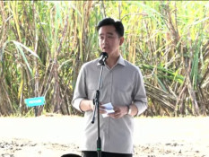 Wapres Gibran Minta Selesaikan Masalah Pupuk, Air, hingga Mafia di Sektor Pertanian