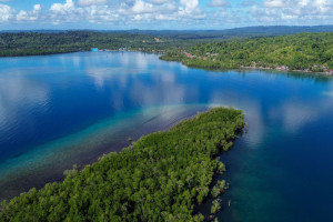 Potensi Wisata Mangrove Pulau Siberut Mentawai
