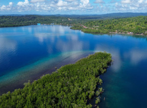 Potensi Wisata Mangrove Pulau Siberut Mentawai
