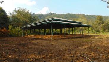 Candi Pulau Sawah di Dharmasraya Sumbar Diusulkan Jadi Cagar Budaya Nasional