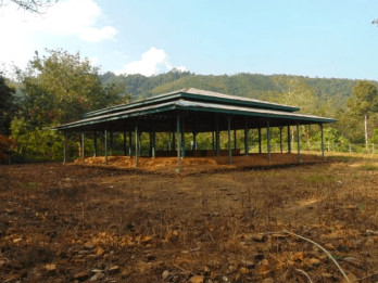 Candi Pulau Sawah di Dharmasraya Sumbar Diusulkan Jadi Cagar Budaya Nasional