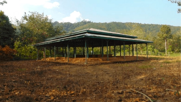 Candi Pulau Sawah di Dharmasraya Sumbar Diusulkan Jadi Cagar Budaya Nasional