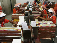 Pakar Desak Usulan Moratorium Cukai Rokok Libatkan Semua Sektor