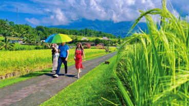 Festival Desa Wisata Jatiluwih Targetkan 4.000 Kunjungan Wisatawan per Hari