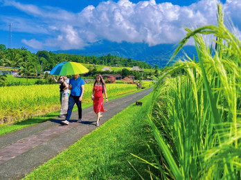 Festival Desa Wisata Jatiluwih Targetkan 4.000 Kunjungan Wisatawan per Hari