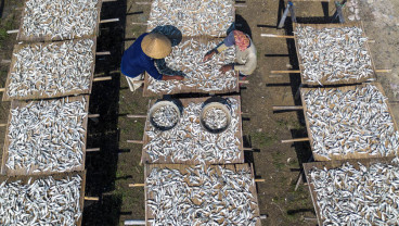 Produksi Ikan Kering Terkendala Cuaca