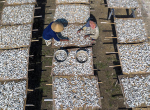 Produksi Ikan Kering Terkendala Cuaca