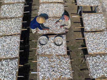 Produksi Ikan Kering Terkendala Cuaca