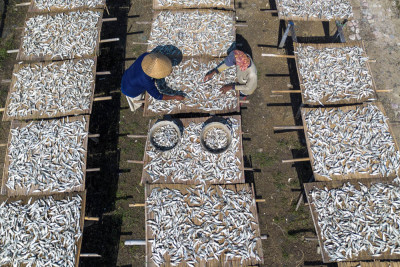 Produksi Ikan Kering Terkendala Cuaca