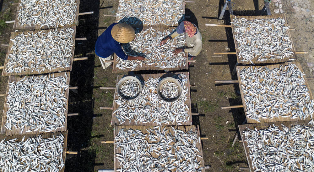Produksi Ikan Kering Terkendala Cuaca