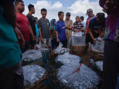 Pemprov Sumbar Tidak Terapkan Simpan Pinjam di Koperasi Desa Merah Putih
