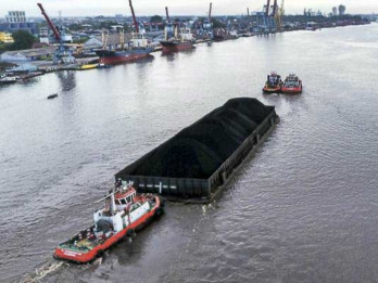 Transcoal Pacific (TCPI) Kantongi Kontrak Pengangkutan Bijih Nikel Rp14,38 Triliun