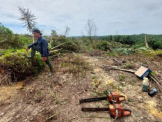 Pemprov Riau Tertibkan TNTN dengan Pendekatan Manusiawi, Fokus Relokasi Warga