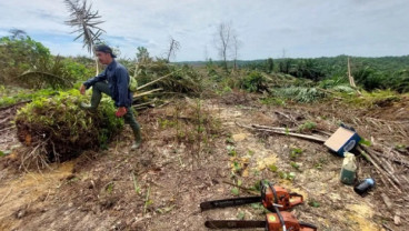 Pemprov Riau Tertibkan TNTN dengan Pendekatan Manusiawi, Fokus Relokasi Warga