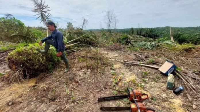 Pemprov Riau Tertibkan TNTN dengan Pendekatan Manusiawi, Fokus Relokasi Warga