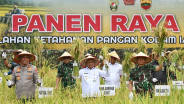 Panglima TNI Panen 80 Ha Padi di Deli Serdang, Singgung Dukungan TNI di Bidang Pangan