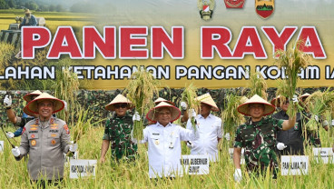Panglima TNI Panen 80 Ha Padi di Deli Serdang, Singgung Dukungan TNI di Bidang Pangan