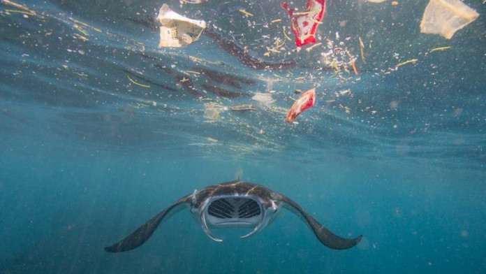 Pemprov Bali Bakal Beri Insentif Rp1 Miliar untuk Desa yang Berhasil Kelola Sampah