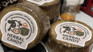Antisipasi Wabah, Mahasiswa UMM Sulap Ampas Jamu Jadi Herbal Candy untuk Ternak