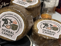 Antisipasi Wabah, Mahasiswa UMM Sulap Ampas Jamu Jadi Herbal Candy untuk Ternak