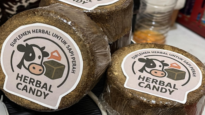 Antisipasi Wabah, Mahasiswa UMM Sulap Ampas Jamu Jadi Herbal Candy untuk Ternak