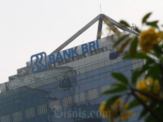 Bos BRI (BBRI) Fokus Himpun Dana Murah Buat Perkuat Pendanaan