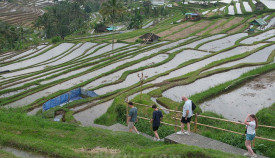 Bali Catat Realisasi APBD Surplus Rp2,68 Triliun per Mei 2025