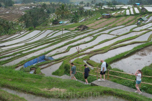 Bali Catat Realisasi APBD Surplus Rp2,68 Triliun per Mei 2025