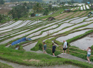 Bali Catat Realisasi APBD Surplus Rp2,68 Triliun per Mei 2025