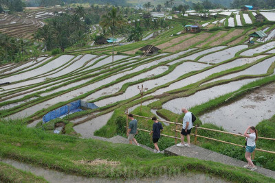 Bali Catat Realisasi APBD Surplus Rp2,68 Triliun per Mei 2025