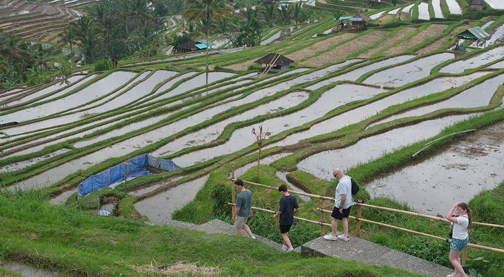 Bali Catat Realisasi APBD Surplus Rp2,68 Triliun per Mei 2025