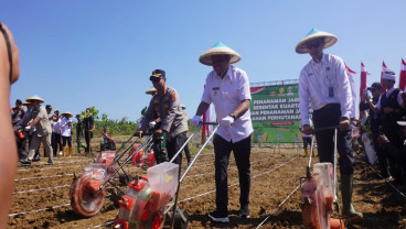 Pemkab Sumedang dan Polda Jabar Tanam Jagung di Lahan Perhutanan Sosial 70 Hektare