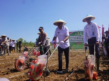 Pemkab Sumedang dan Polda Jabar Tanam Jagung di Lahan Perhutanan Sosial 70 Hektare