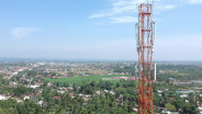 Mitratel (MTEL) dan Tower Bersama (TBIG) Dikabarkan Jajaki Opsi Merger