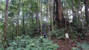 Pemkab Solok Selatan Integrasikan Perhutanan Sosial dengan Pembangunan Ekonomi Desa
