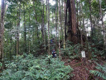 Pemkab Solok Selatan Integrasikan Perhutanan Sosial dengan Pembangunan Ekonomi Desa