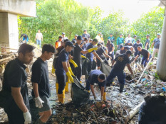 Sampah Kiriman di Mangrove Tahura Ngurah Rai Mulai Dibersihkan
