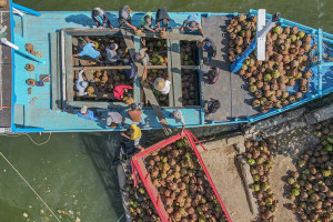 Distribusi Elpiji 3 Kg ke Wilayah Kepulauan Sulawesi Tenggara