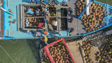 Distribusi Elpiji 3 Kg ke Wilayah Kepulauan Sulawesi Tenggara