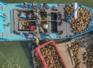 Distribusi Elpiji 3 Kg ke Wilayah Kepulauan Sulawesi Tenggara