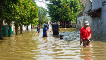 Solusi Cerdas Tangani Banjir di Perkotaan