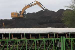 Pemerintah Tetapkan Harga Batu Bara Acuan (HBA) Periode Pertama Bulan Juli 2025 Sebesar US$107,35 Per Ton