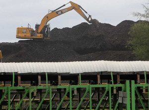 Pemerintah Tetapkan Harga Batu Bara Acuan (HBA) Periode Pertama Bulan Juli 2025 Sebesar US$107,35 Per Ton